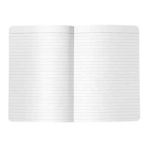 Journal:  Restore Reorganize Rewire