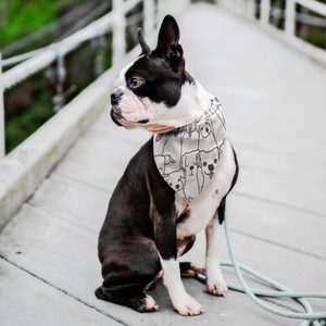 Doggie Friends Pet Bandana