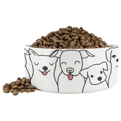 Doggie Friends Dinner Bowl