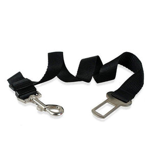 Breathable Mesh Dog Harness Leash With Adjustable Straps