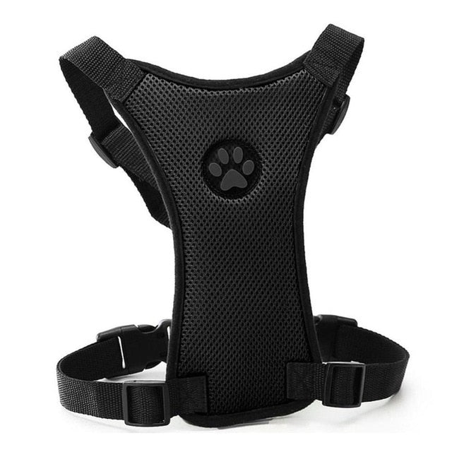 Breathable Mesh Dog Harness Leash With Adjustable Straps