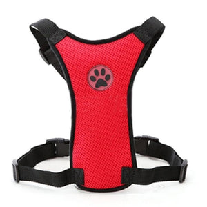 Breathable Mesh Dog Harness Leash With Adjustable Straps