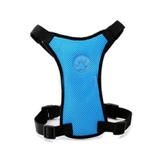Load image into Gallery viewer, Breathable Mesh Dog Harness Leash With Adjustable Straps