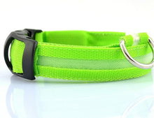 Load image into Gallery viewer, Nylon LED Pet Dog Collar &amp; Charm (Sold Separately)
