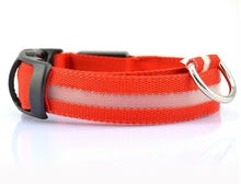 Load image into Gallery viewer, Nylon LED Pet Dog Collar &amp; Charm (Sold Separately)