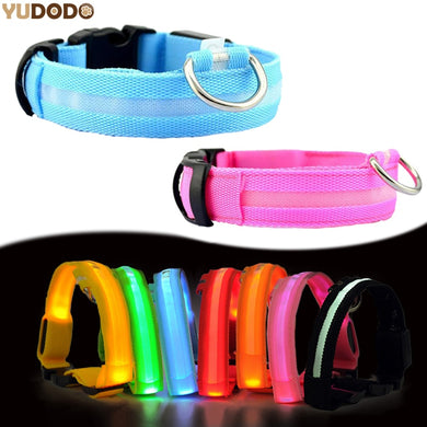 Nylon LED Pet Dog Collar & Charm (Sold Separately)