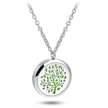 Load image into Gallery viewer, Aromatherapy Necklace Essential Oil Diffuser Pendant with Free Felt Pads and Chain