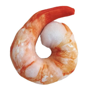 Squeaky Dog Chew Toy