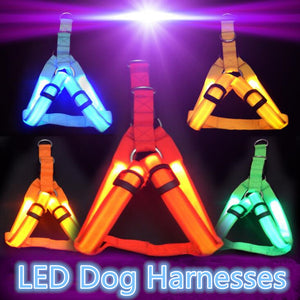 LED Lighted Dog Harness