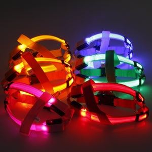 LED Lighted Dog Harness