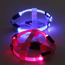 Load image into Gallery viewer, LED Lighted Dog Harness