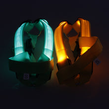 Load image into Gallery viewer, LED Lighted Dog Harness -  SPECIAL OFFER