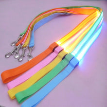 Load image into Gallery viewer, Nylon LED Light Up Dog Leash