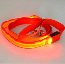 Load image into Gallery viewer, Nylon LED Light Up Dog Leash