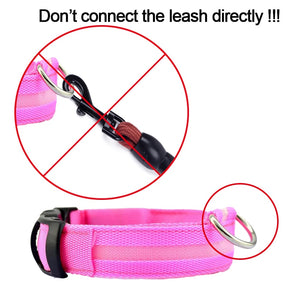Nylon LED Pet Dog Collar & Charm (Sold Separately)