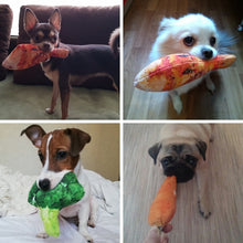 Load image into Gallery viewer, Squeaky Dog Chew Toy