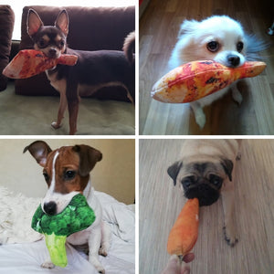 Squeaky Dog Chew Toy