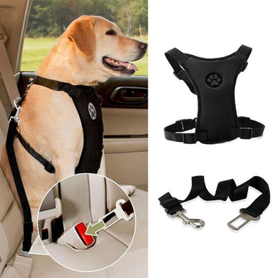 Breathable Mesh Dog Harness Leash With Adjustable Straps