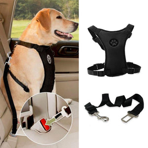Breathable Mesh Dog Harness Leash With Adjustable Straps