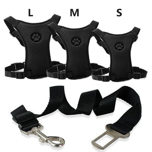 Breathable Mesh Dog Harness Leash With Adjustable Straps