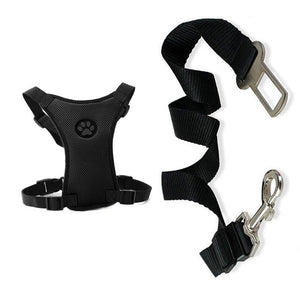 Breathable Mesh Dog Harness Leash With Adjustable Straps
