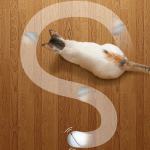 Self Rotating Cat Toy