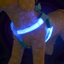 Load image into Gallery viewer, LED Lighted Dog Harness