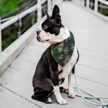 Load image into Gallery viewer, Daisies Pet Bandana